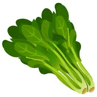 Watercress | A to Z Vegetables Names