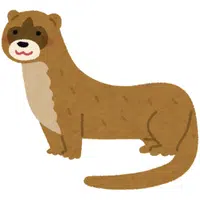 Weasel | A to Z Animals Name