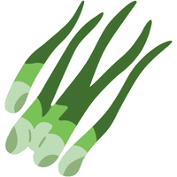 Welsh Onion | A to Z Vegetables Names