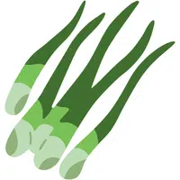 Welsh Onion | A to Z Vegetables Names