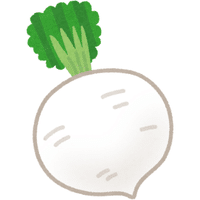 White Radish | A to Z Vegetables Names