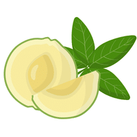 White Sapote | A to Z Fruits Name