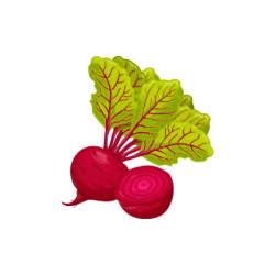 Wild Beet | Desert Vegetables Names in English