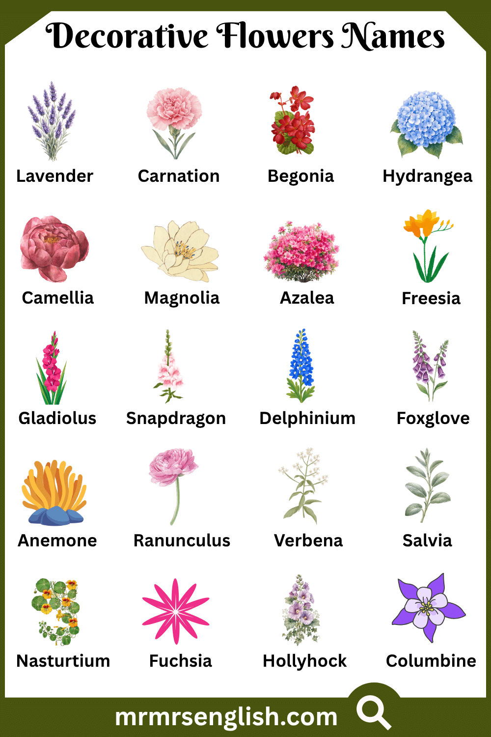 Wild Decorative Flowers Names with Pictures