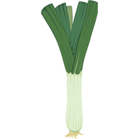 Wild Leeks | A to Z Vegetables Names