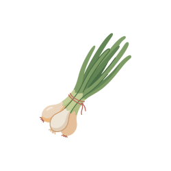 Wild Onion | Desert Vegetables Names in English
