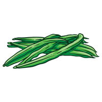 Winged Beans | A to Z Vegetables Names