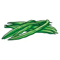 Winged Beans | A to Z Vegetables Names