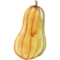 Winter Squash | A to Z Vegetables Names