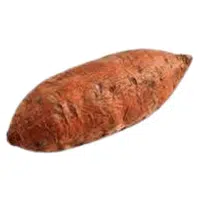 Xanthosoma Root | A to Z Vegetables Names