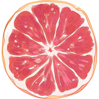 Xarel·lo Grape | A to Z Fruits Name