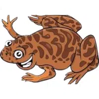Xenopus | A to Z Animals Name