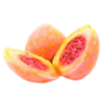 Xoconostle | A to Z Fruits Name