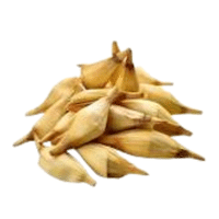 Xylopia Shoots | A to Z Vegetables Names