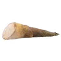 Xylosma Shoots | A to Z Vegetables Names