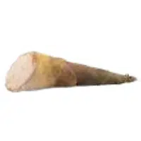 Xylosma Shoots | A to Z Vegetables Names