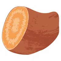 Yam | A to Z Vegetables Names
