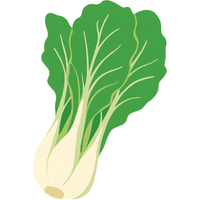 Yau Choy | A to Z Vegetables Names