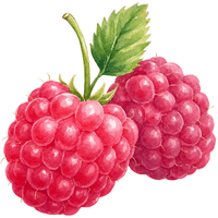 Yellow Raspberry | A to Z Fruits Name