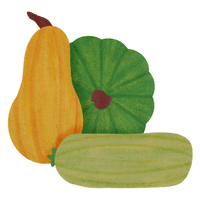Yellow Squash | A to Z Vegetables Names