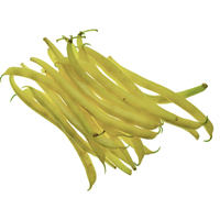 Yellow Wax Beans | A to Z Vegetables Names