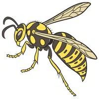 Yellowjacket | A to Z Animals Name