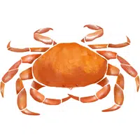 Yeti Crab | A to Z Animals Name