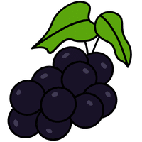 Youngberry | A to Z Fruits Name