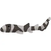 Zebra Shark | A to Z Animals Name