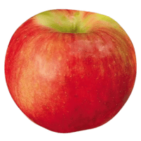 Zestar Apple | A to Z Fruits Name