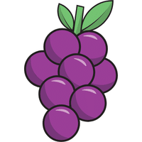 Zibibbo Grape | A to Z Fruits Name