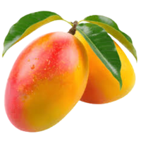 Zill Mango | A to Z Fruits Name
