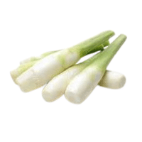 Zizania | A to Z Vegetables Names