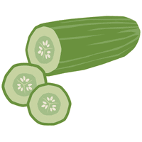 Zucchini | A to Z Vegetables Names