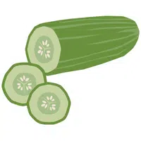 Zucchini | A to Z Vegetables Names