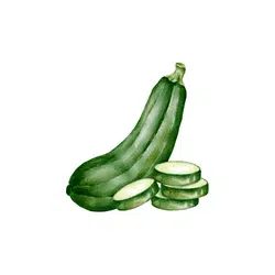 Zucchini