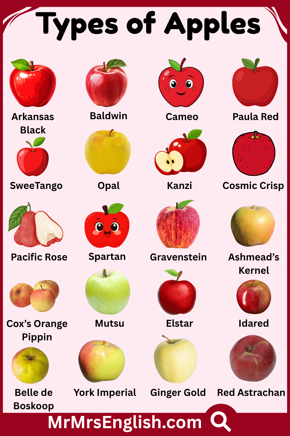 20 Types of Apples with Names and Pictures