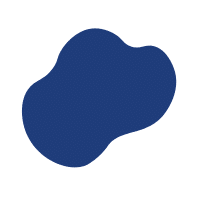 Amoeba