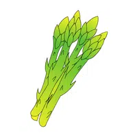 Asparagus