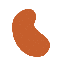 Bean