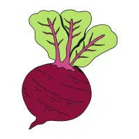 Beetroot
