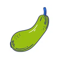Bottle Gourd