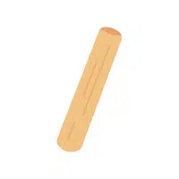 Bucatini