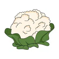 Cauliflower