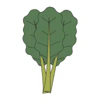 Collards
