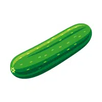 Cucumber