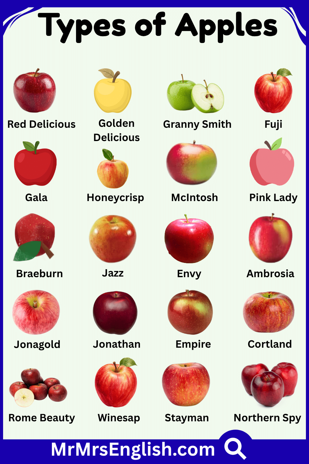 Different Types of Apples with Pictures