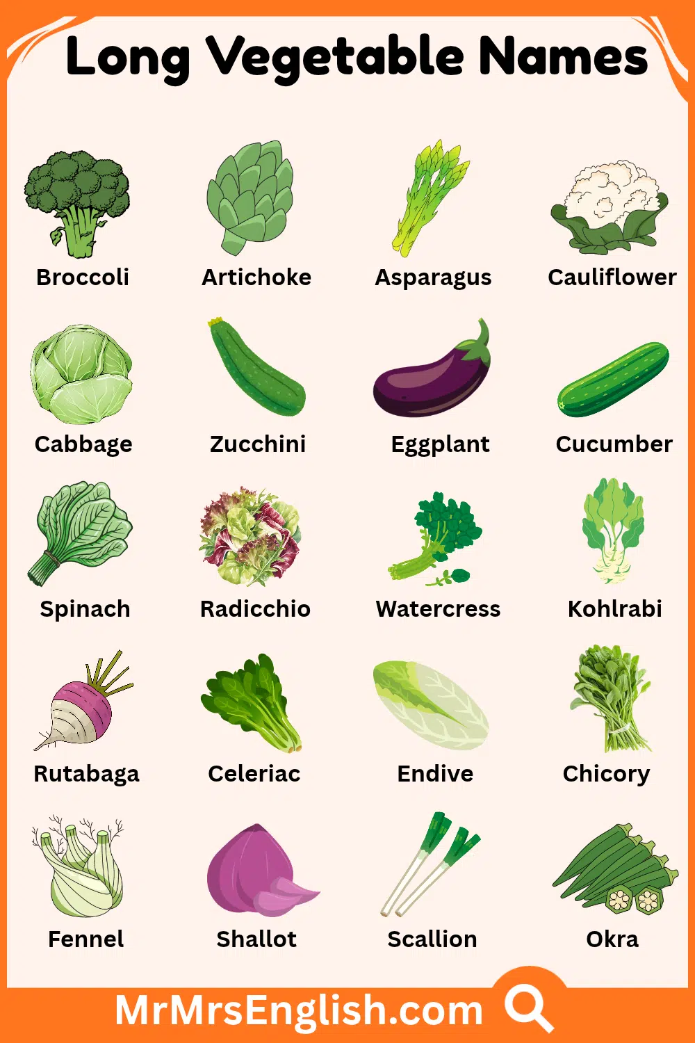 Different Types of Long Vegetable Names with Pictures