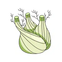 Fennel | Long Vegetable Names