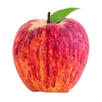 Gravenstein | Types of Apples